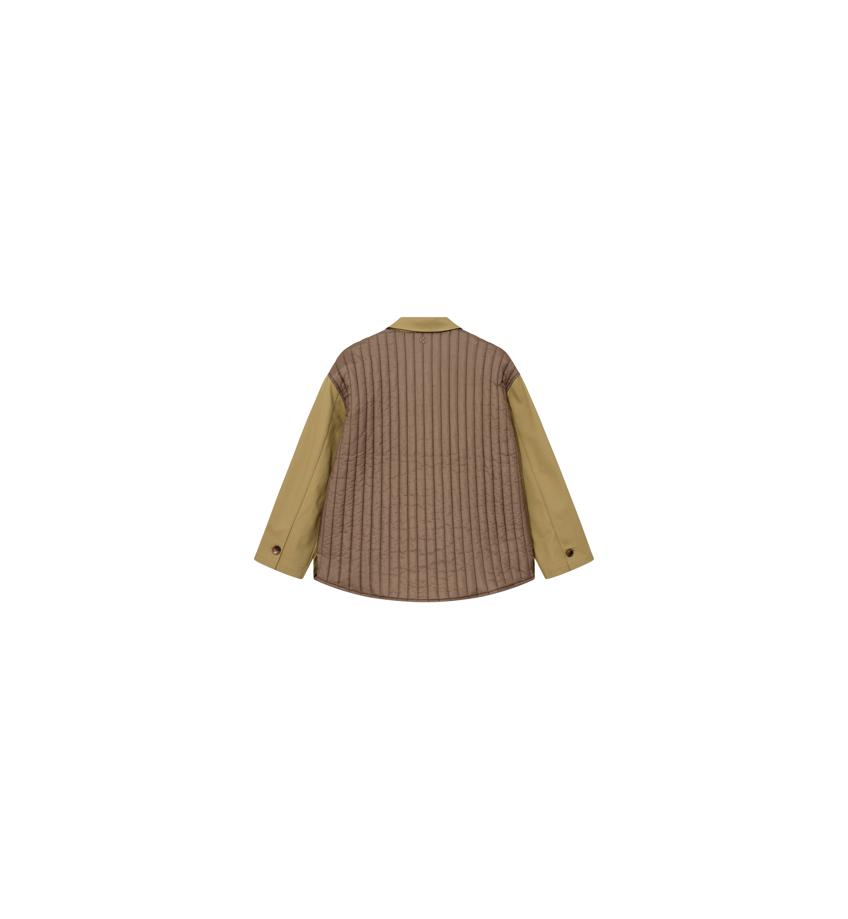 Packshot / Bungee Cord / Back